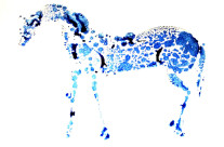 Blue Spotted Horse